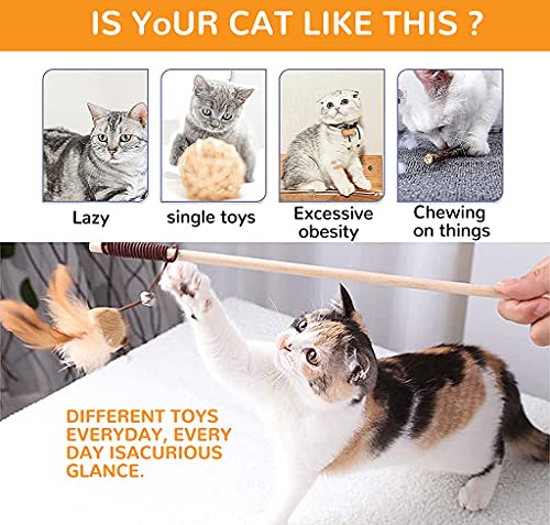 Qpets® Premium Cat Toy Interactive Toys Set of 5 Teaser Wand Pet Activity Fishing Rod with Mouse Natural Feathers for Kittens to Play Games 3PCS Qpets® Premium Cat Toy Interactive Toys Set of 5 Teaser Wand Pet Activity Fishing Rod with Mouse Natural Feathers for Kittens to Play Games 3PCS